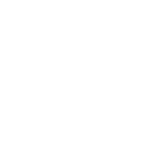 velqor logo (WHITE)-08